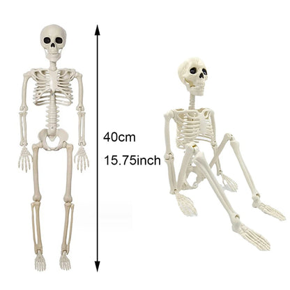 Posable Plastic Human Skeleton