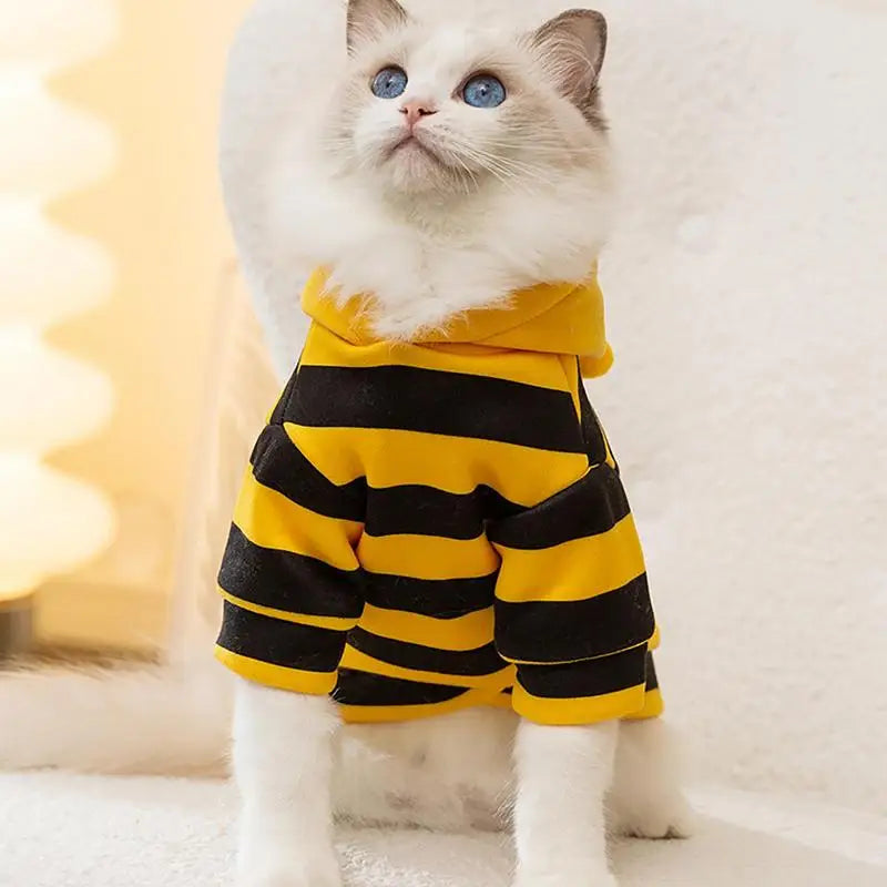 Disfraz de Abeja para Gatos