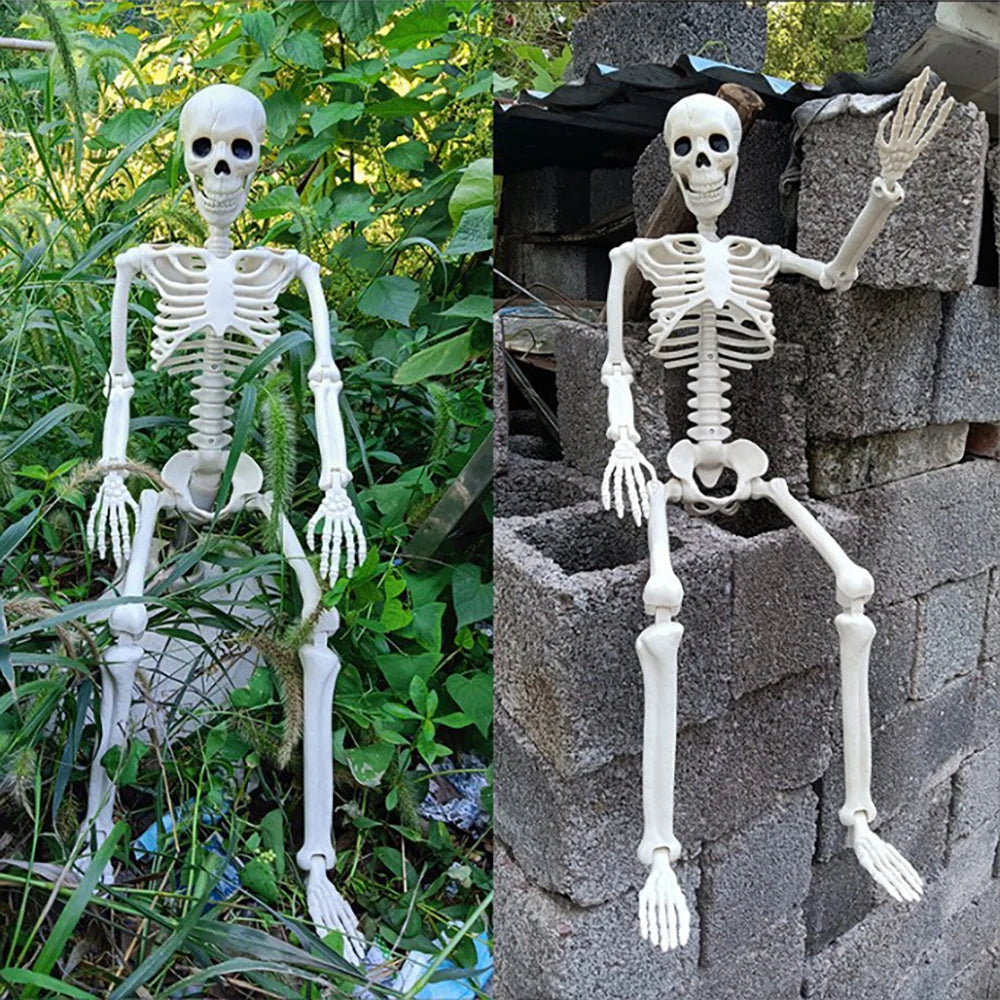 Posable Plastic Human Skeleton