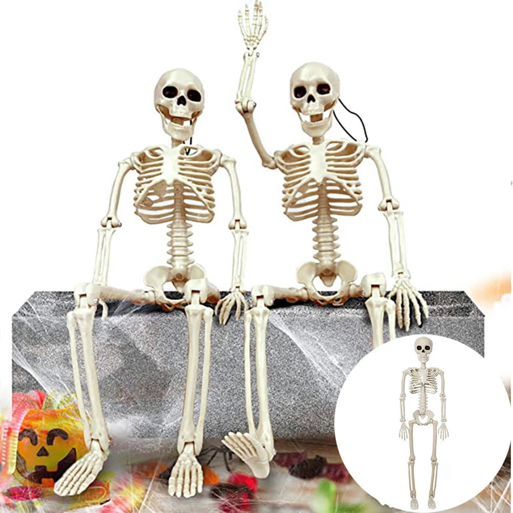 Posable Plastic Human Skeleton